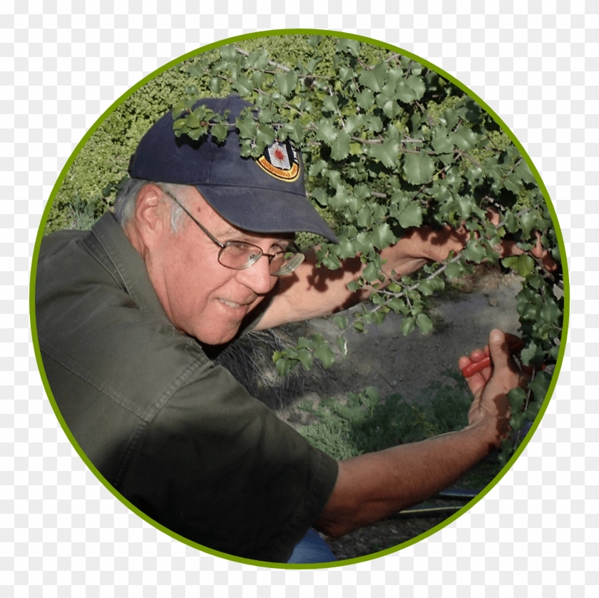 Garden Q&a With Lee Gordon, Member Of Cnps San Diego - Grass Clipart
