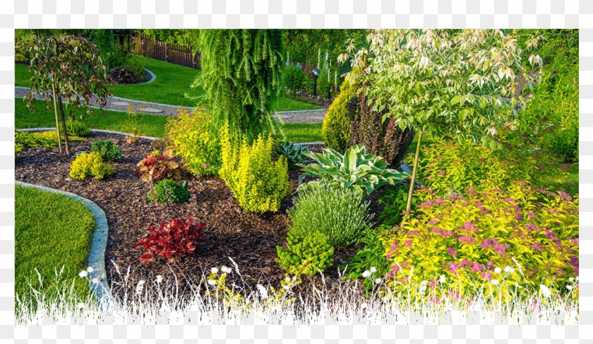 Overplanting Clipart