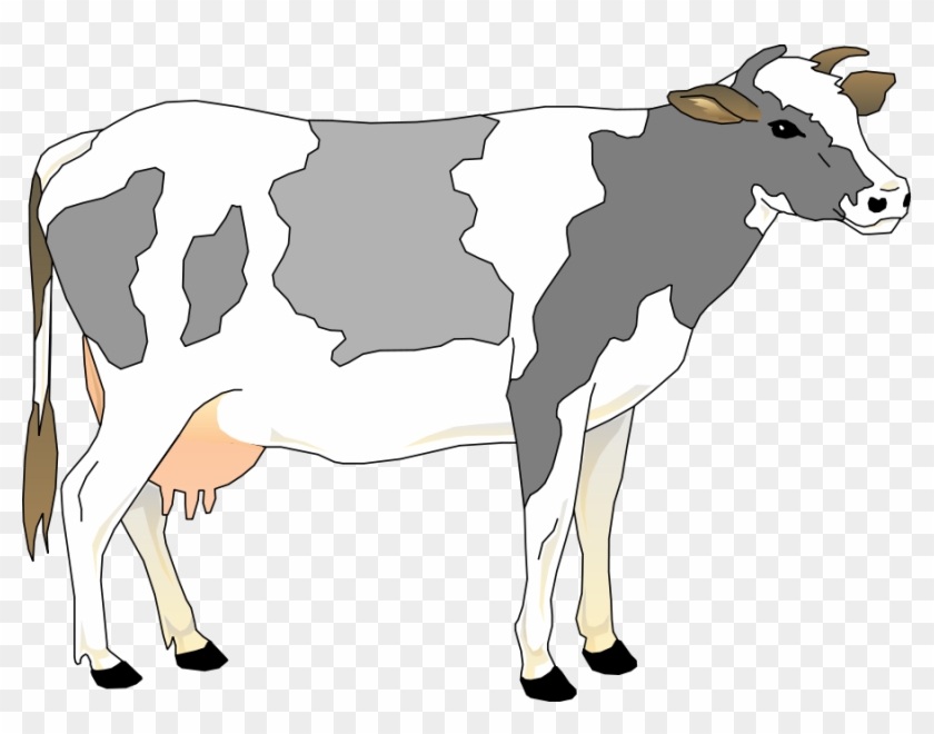 Cow 3 Small Clipart 300pixel Size, Free Design - Grey And White Cow - Png Download #822973