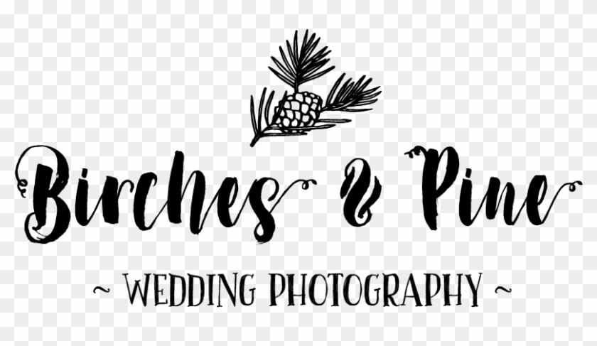 Birches And Pine Photography Logo - Calligraphy Clipart #824737
