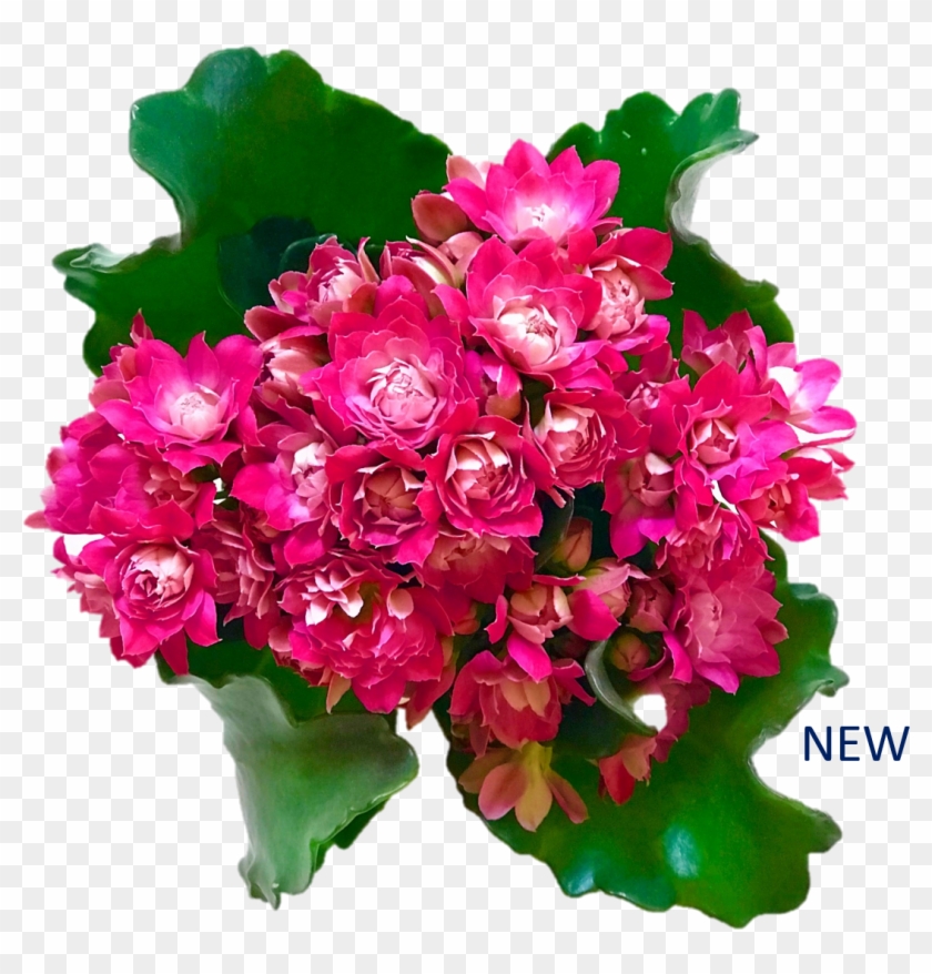 Dark Pink - Bouquet Clipart