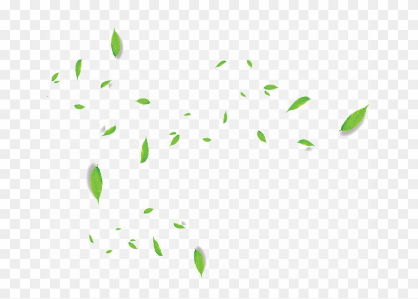 Falling Green Leaves Png Transparent Image - Insect Clipart #825492