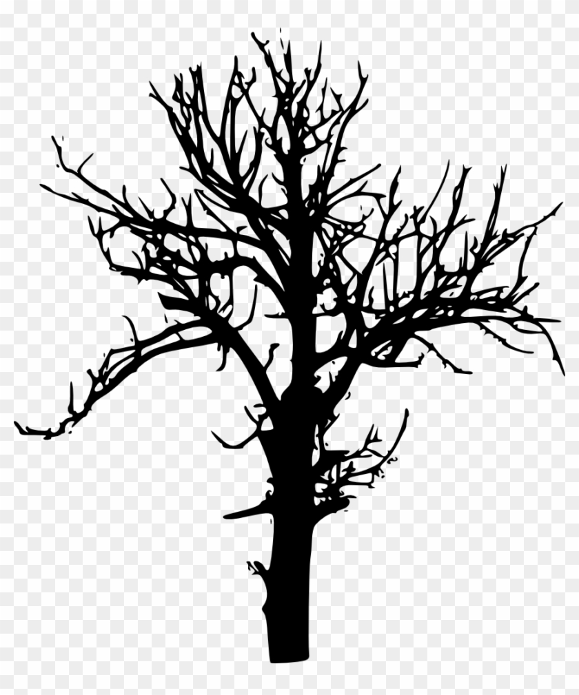 Free Download - Tree Silhouette Transparent Background Clipart #826283