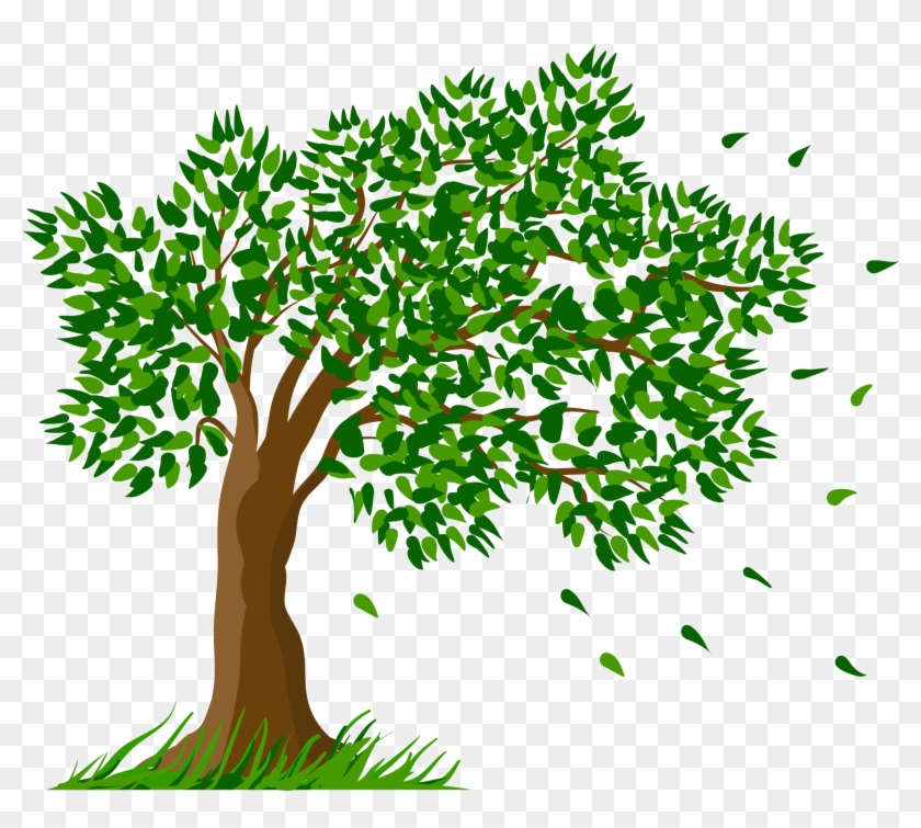 Picture Gallery Yopriceville High - Transparent Background Tree Png Clipart #826347