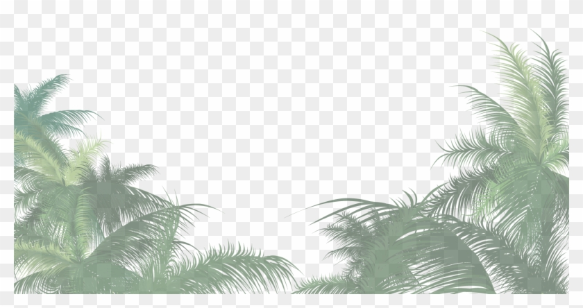 Scroll Down Ménagerie By Night - Palm Tree Png Clipart