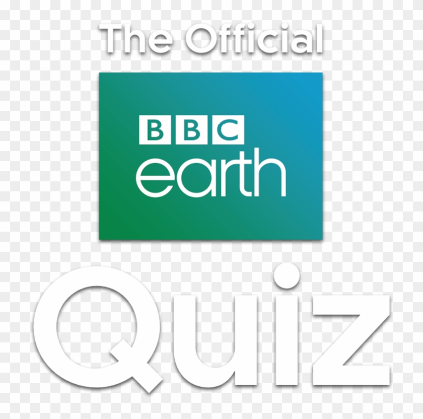 The Official Bbc Earth Quiz Will Test The Knowledge - Bbc Earth Clipart #827488