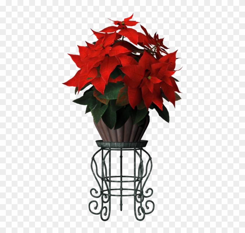 Flower Stand Png - Poinsettia Clipart #828599