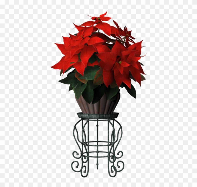 Flower Stand Png - Poinsettia Clipart