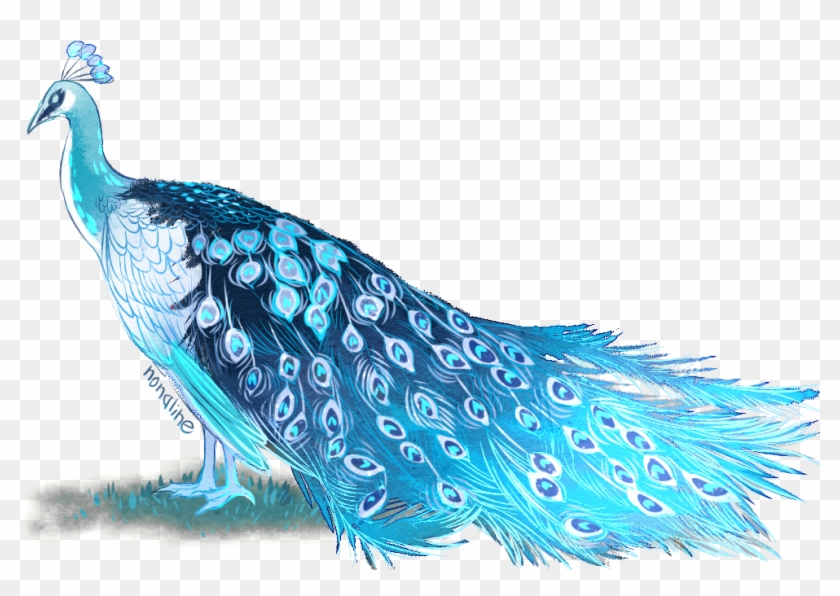 Izqjj8s - Peafowl Clipart