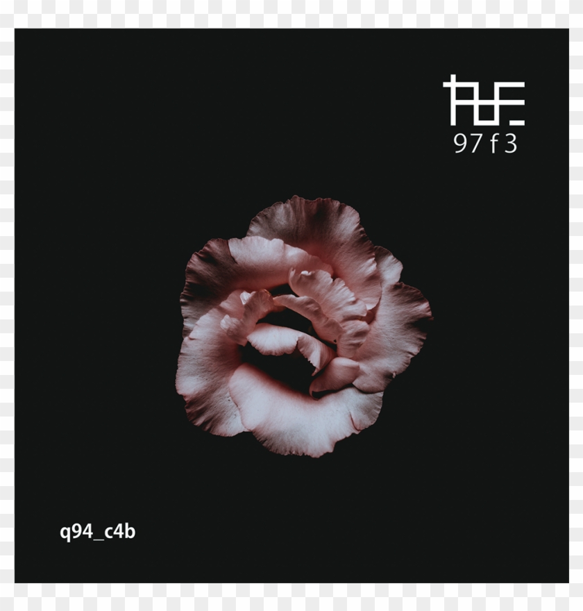 Sounds - Background Iphone Flowers Dark Clipart #830316