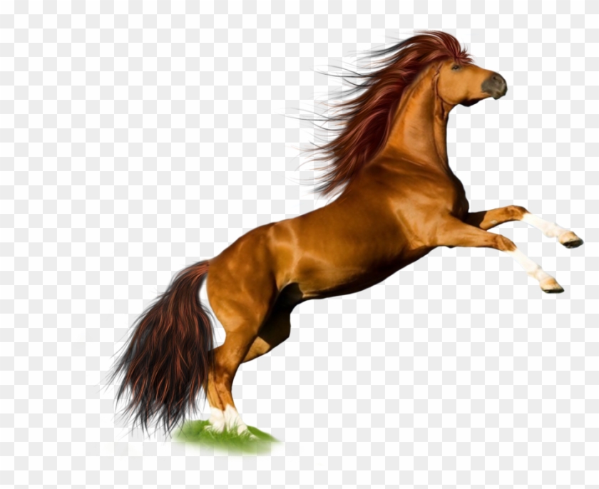 Horses Png - Horse Png Clipart #831343