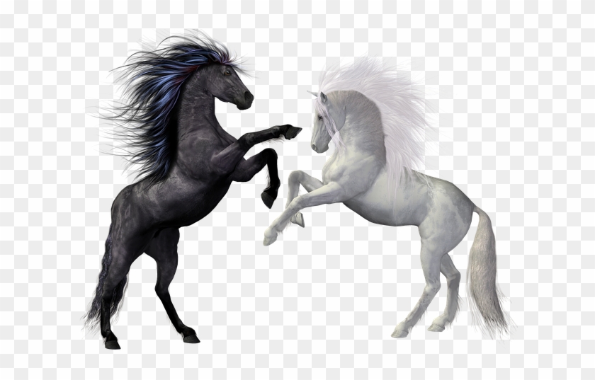 Wallpapers Horace Kaufman, Kr/17 - Silhouette Horse Mane Clipart - Png Download