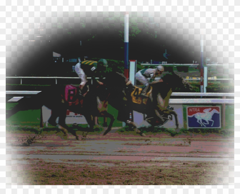 Photoshop - National Thoroughbred Racing Association Clipart