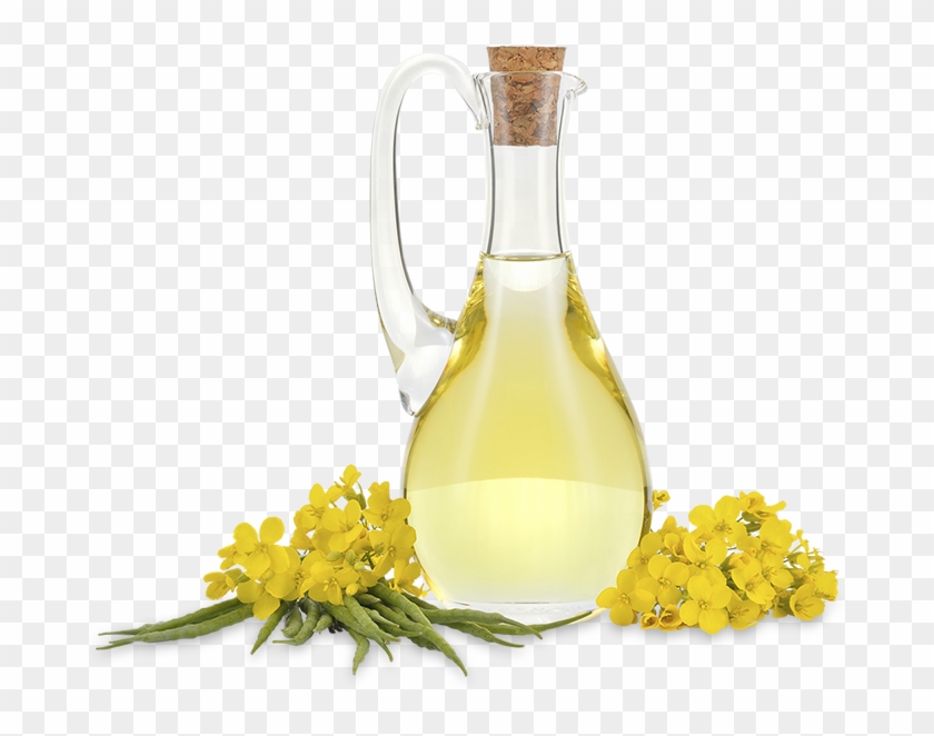 Canola Oil - Canola Oil Png Clipart