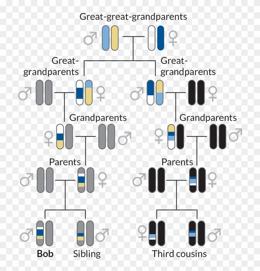 Mix And Unmatch - Parallel Clipart