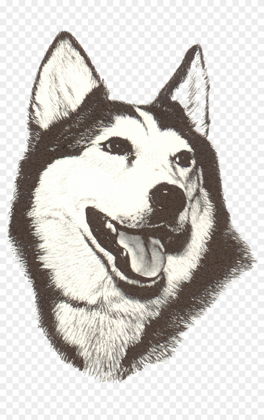 New Holstein Husky Clipart #836413
