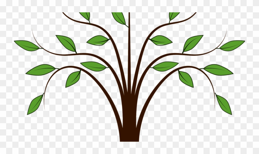 Family Tree - Tree Clipart Free - Png Download