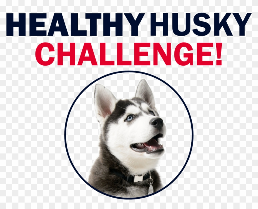 Uconn Student Health On Twitter - Sign Clipart #837283