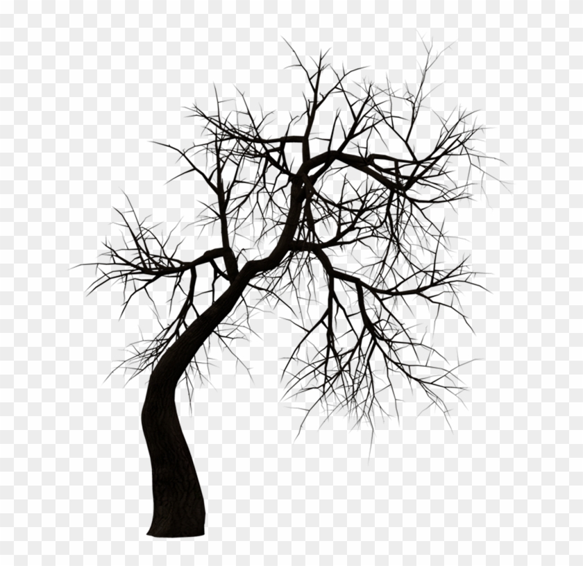 Horror Tree Png - Transparent Haunted House Png Clipart #839522