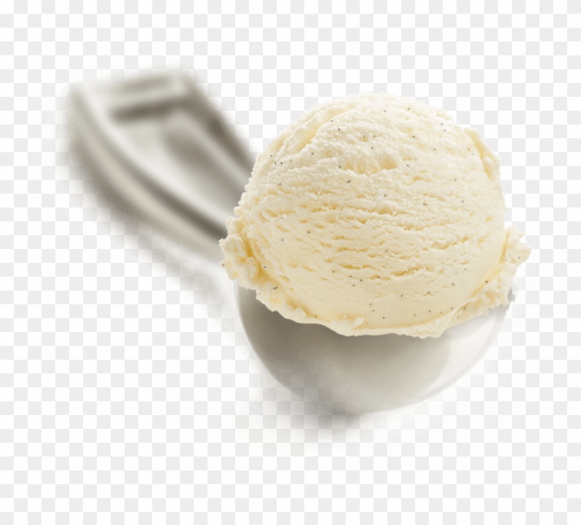 Vanilla Bean - Vanilla Ice Cream Png Clipart #841396