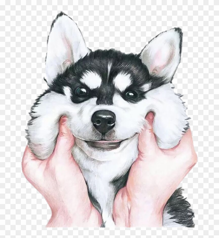 Tumblr Sticker - Fondos De Pantalla De Perros Clipart