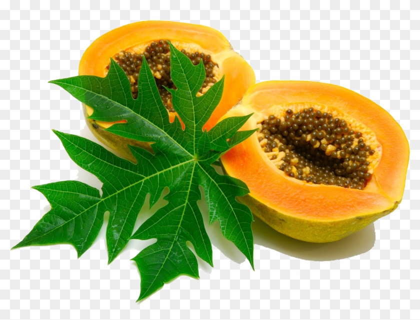 Papaya Png Image - Papaya A Medicinal Plant Clipart #843040