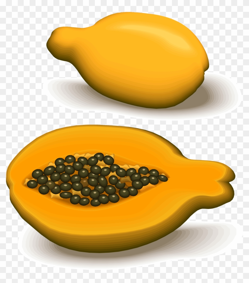 Papaya Drawing Orange Fruit Clipart