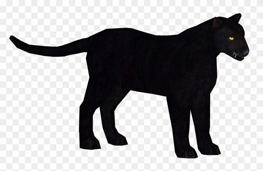 783 X 783 7 - Black Leopard Png Clipart