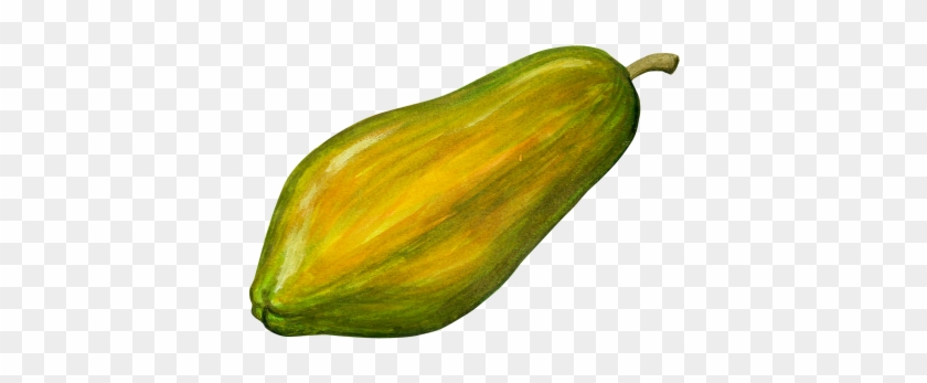 Papayas - Papaya Clipart