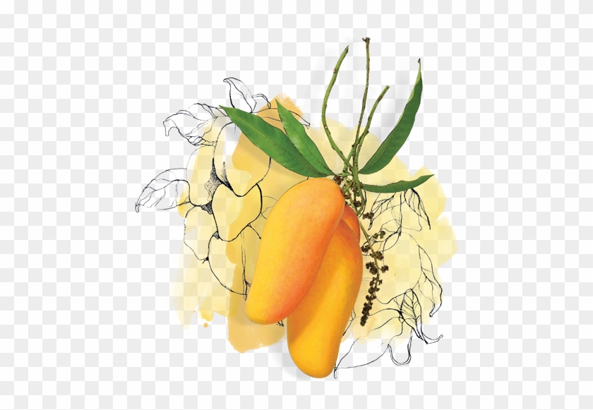 1050 X 528 2 - Illustration Clipart