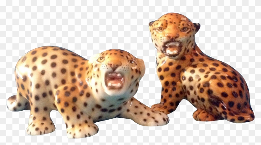 Leopard Clipart