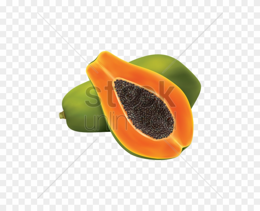 Papaya Png - Cross Section Of Papaya Drawing Clipart #844238