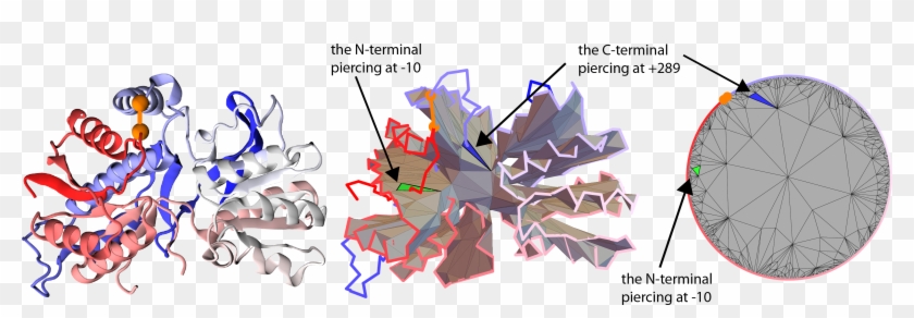 1 Glutamate Receptor With Pdb Code 3om0 In Its Cartoon - Graphic Design Clipart #844265