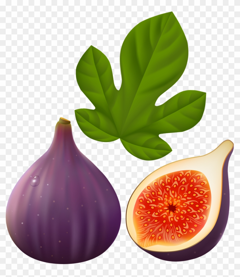 1161 X 1280 2 - Fig Clipart Png Transparent Png