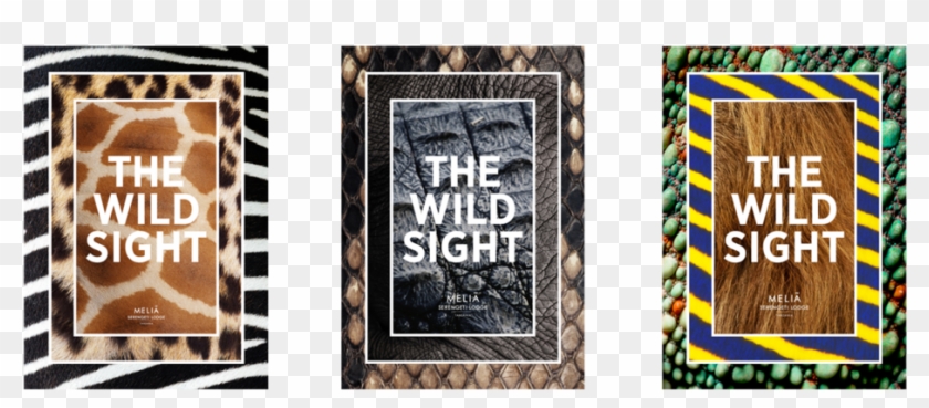 Compo Meliá Posters Clipart