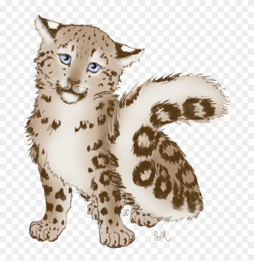 Drawn Snow Leopard Anime - Snow Leopard Cub Drawing Clipart