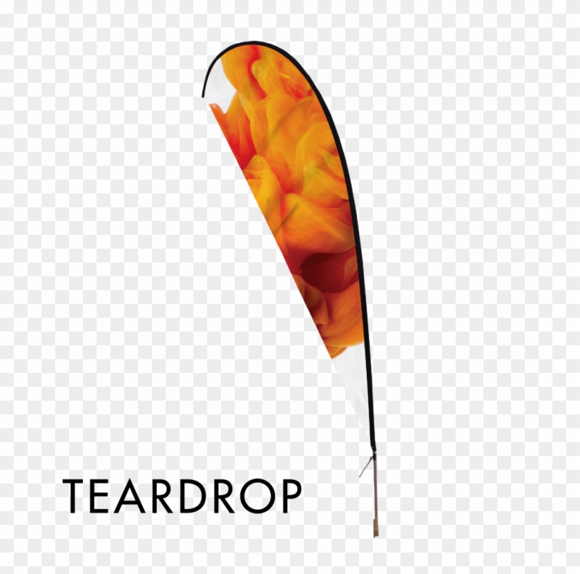 Flag Clipart #844704