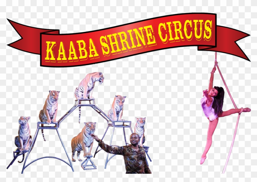 Circus Clipart Flag Banner - Cartoon - Png Download #845178