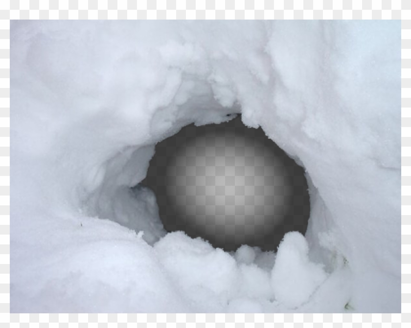 Copy Discord Cmd - Cats Outside In Winter No Snow Clipart #847059