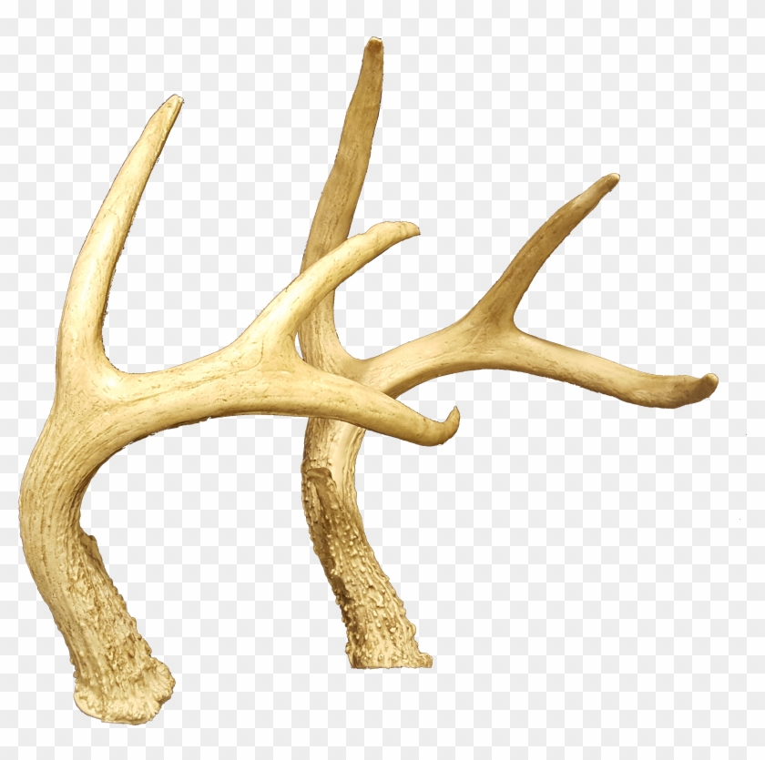 Horns,deer Antler , Png Download Clipart