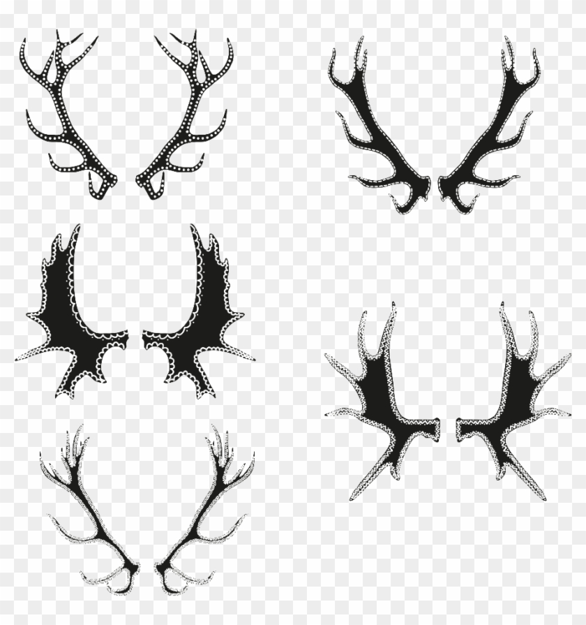 Antler Vector - Drawing Clipart