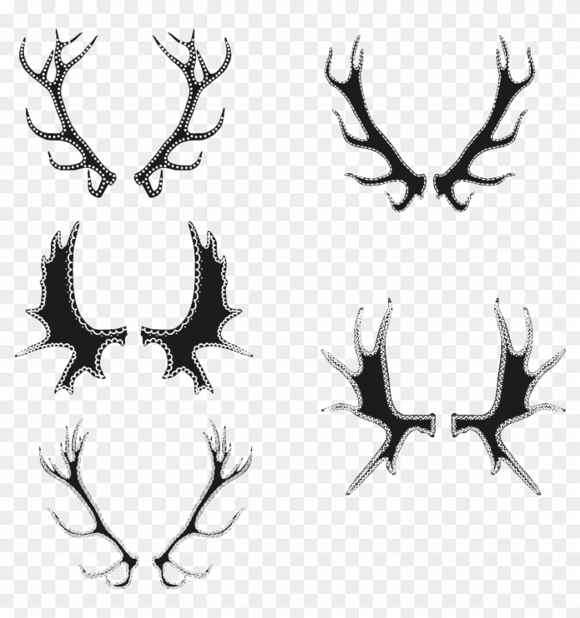 Antler Vector - Drawing Clipart #847449