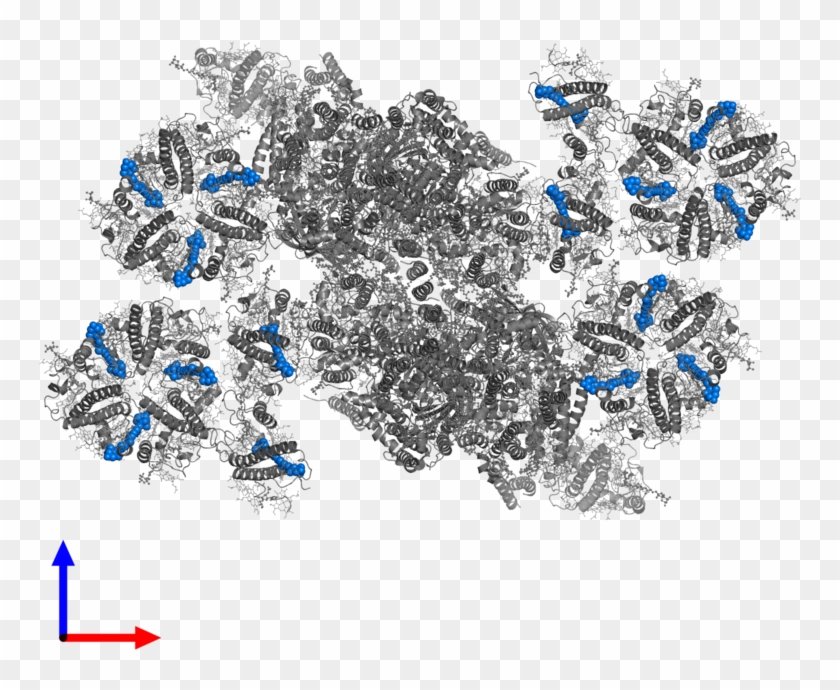 <div Class='caption-body'>pdb Entry 5xnl Contains 16 - Butterfly Clipart