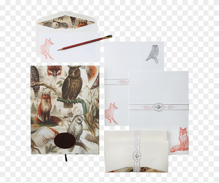 The Mysterious Life Of Trees Fox & Owl - Illustration Clipart