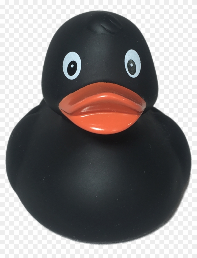 Rubber Duck Transparent Image Clipart