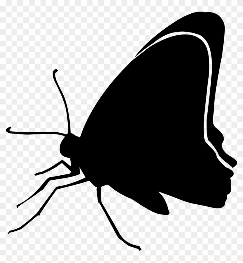 Butterfly Silhouette - Graphics - Butterfly Clipart #848569