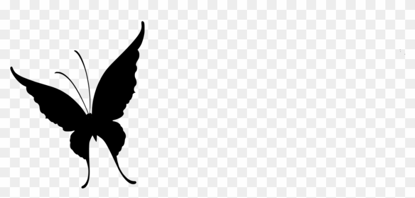 Butterfly Vector Png - Portable Network Graphics Clipart