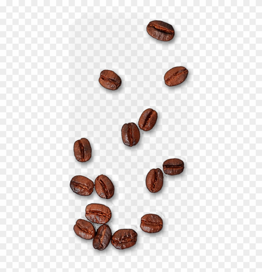 Single Coffee Bean Png - Coffee Beans Top Png Clipart #848804