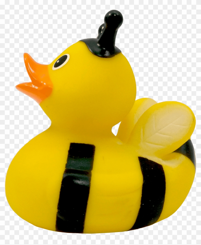 Duck Clipart