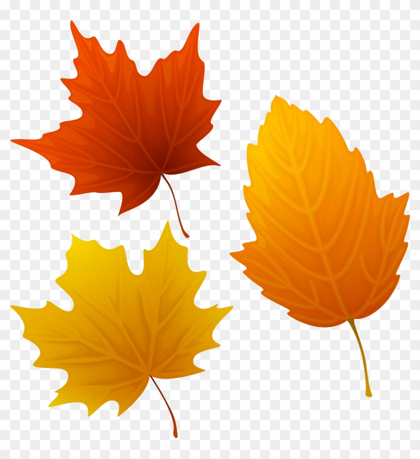 Set Of Autumn Leaves Png Image Clip Ⓒ - Autumn Leaves Clipart Transparent Png #849102